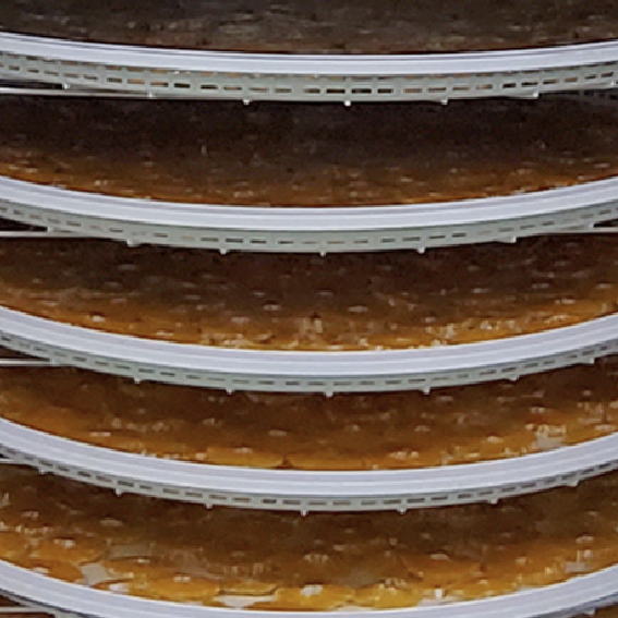 Naturally Chewy with Patented Near-Infrared Drying Technology.